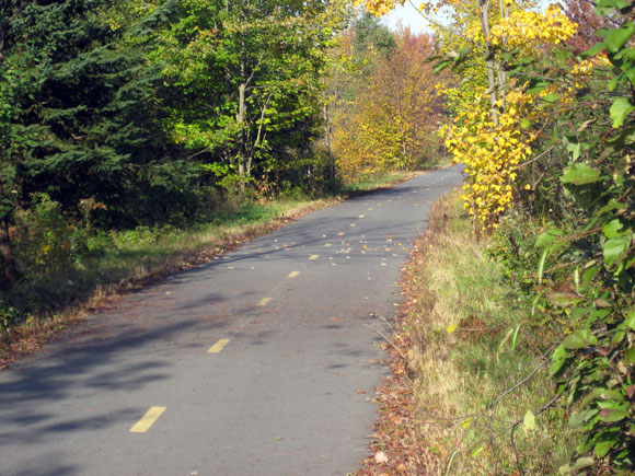 La piste